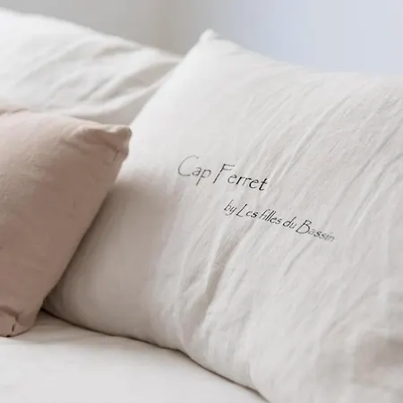 Le Cocon Au Centre D'arcachon, à Pied *