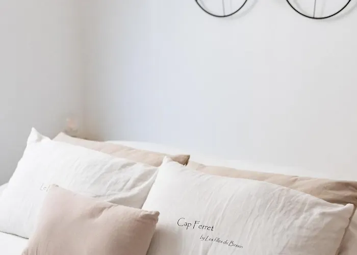 Appartement Le Cocon Au Centre D'arcachon, A Pied Arcachon